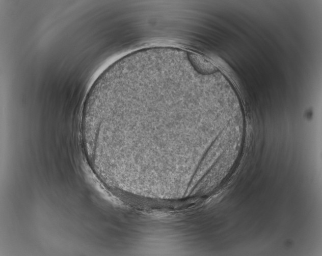 X0000115411052200912011335