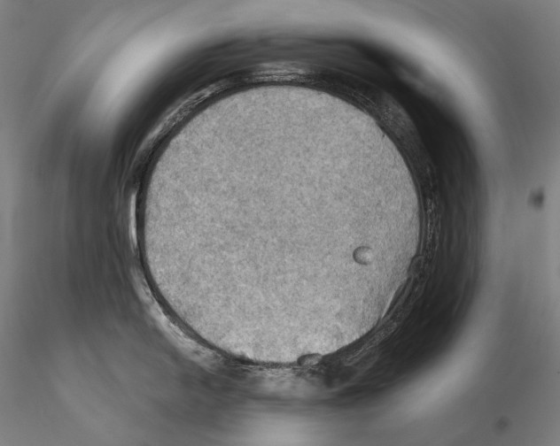 X0000115411054200912011335