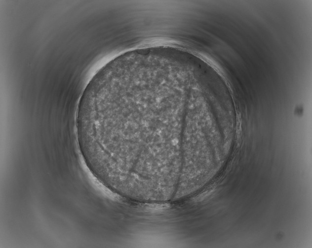 X0000115411055200912011335