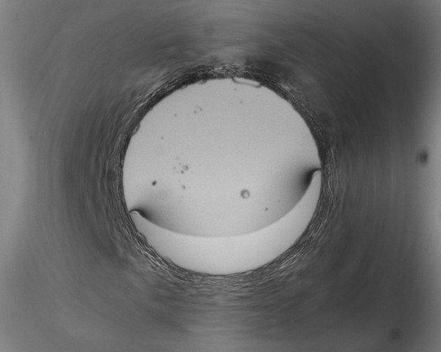 X0000115411057200912011335