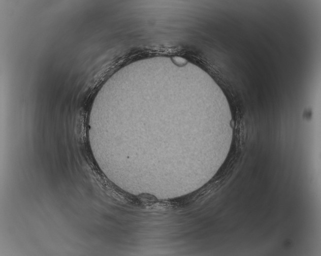 X0000115411058200912011335