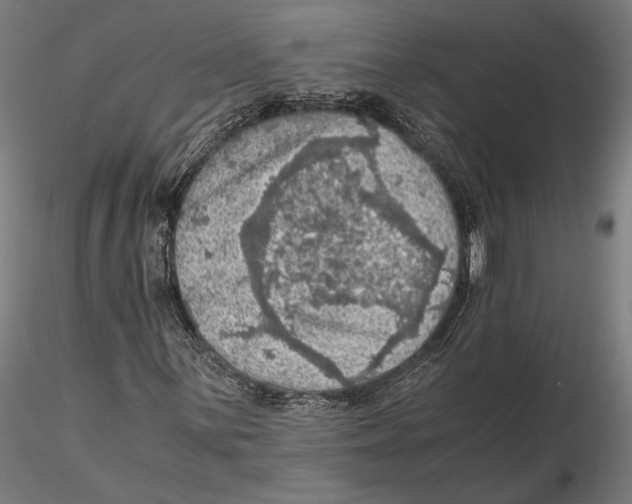 X0000115411059200912011335