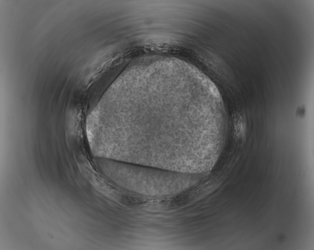 X0000115411060200912011335