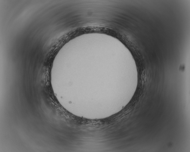 X0000115411062200912011335