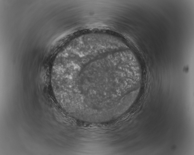 X0000115411063200912011335