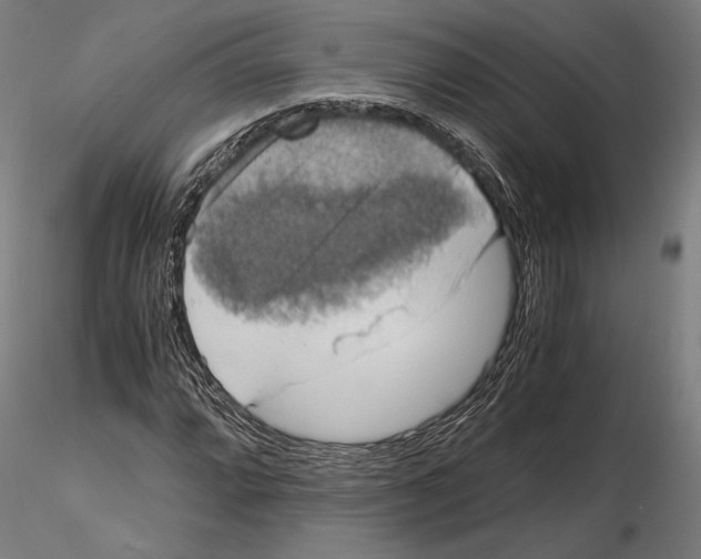 X0000115411064200912011335