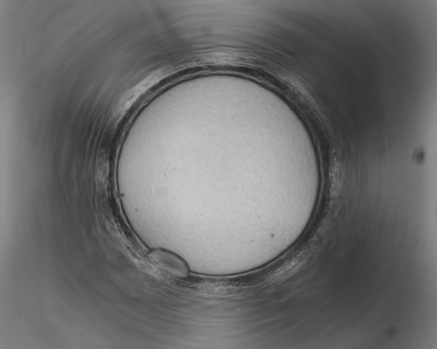 X0000115411065200912011335