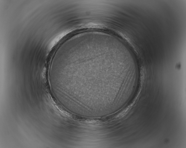 X0000115411066200912011335