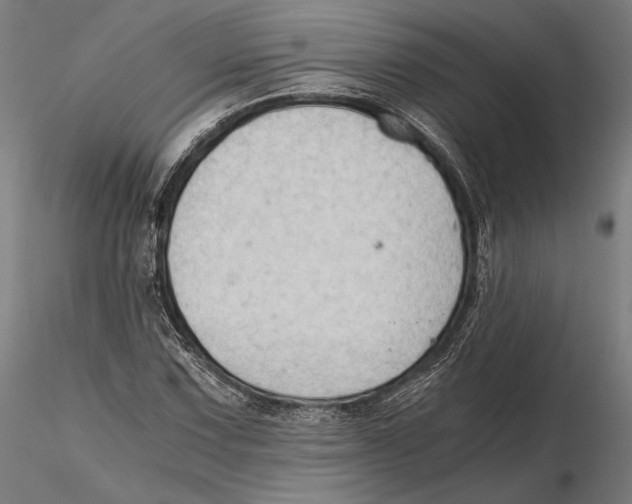 X0000115411067200912011335