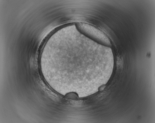 X0000115411068200912011335