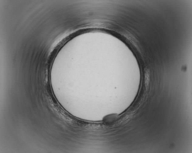 X0000115411069200912011334