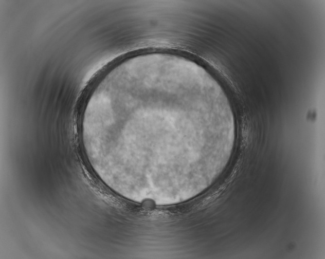 X0000115411070200912011334