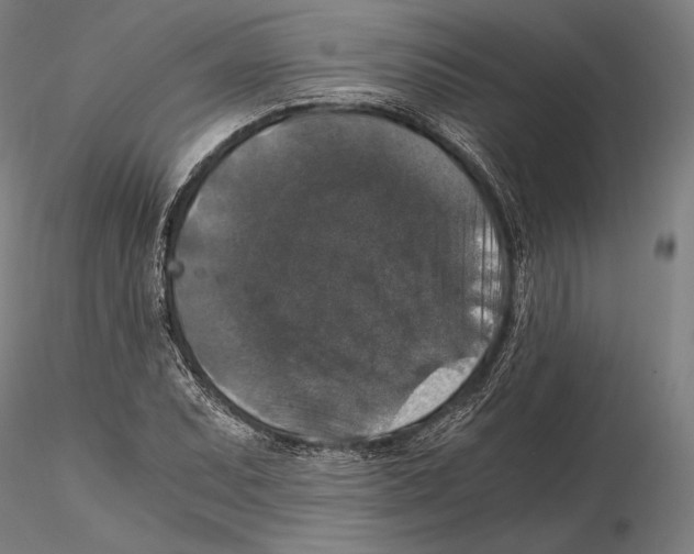 X0000115411071200912011334