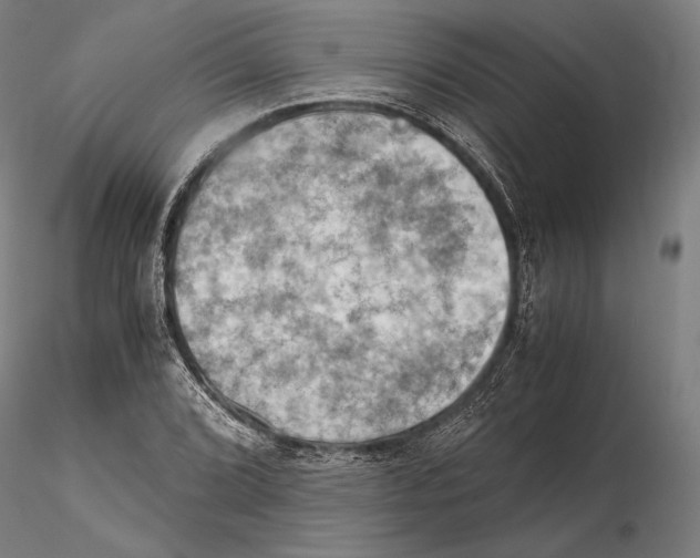 X0000115411072200912011334