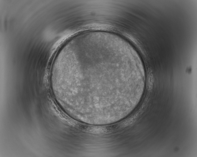 X0000115411074200912011334