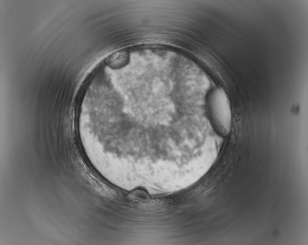 X0000115411076200912011334