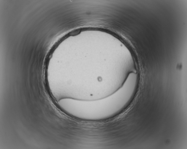 X0000115411077200912011334