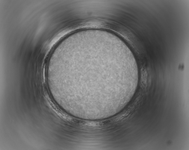 X0000115411078200912011334