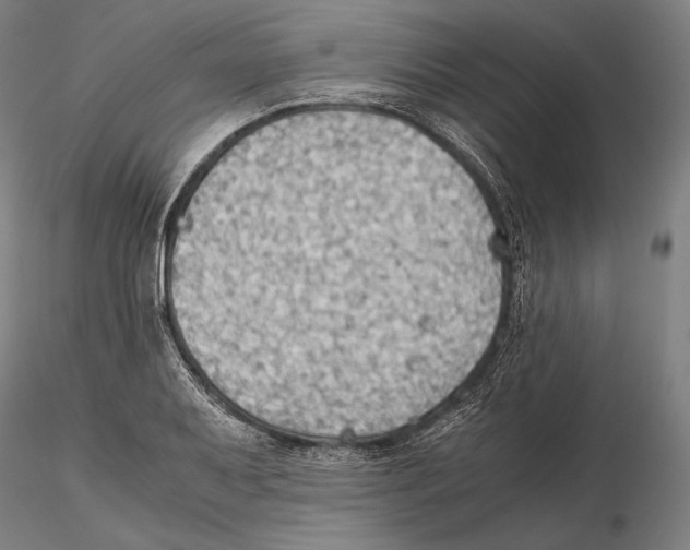 X0000115411079200912011334