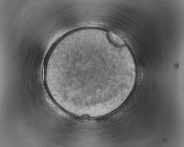 X0000115411080200912011334