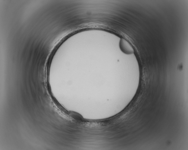 X0000115411082200912011334