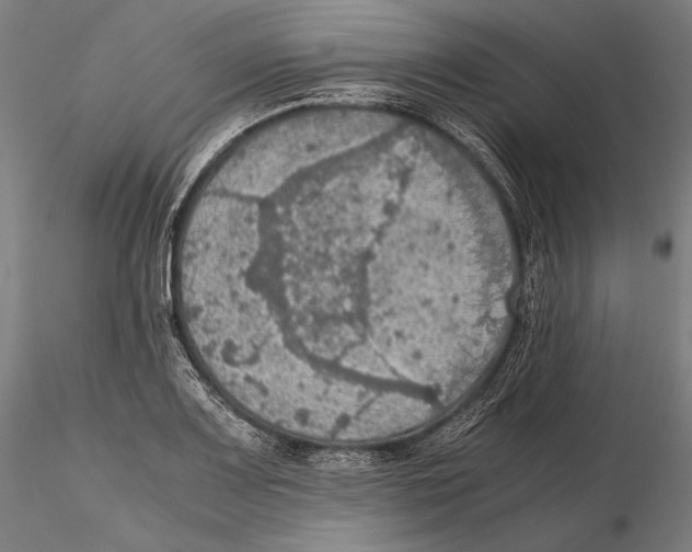 X0000115411083200912011334