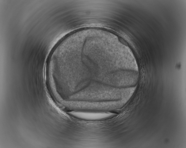 X0000115411084200912011334