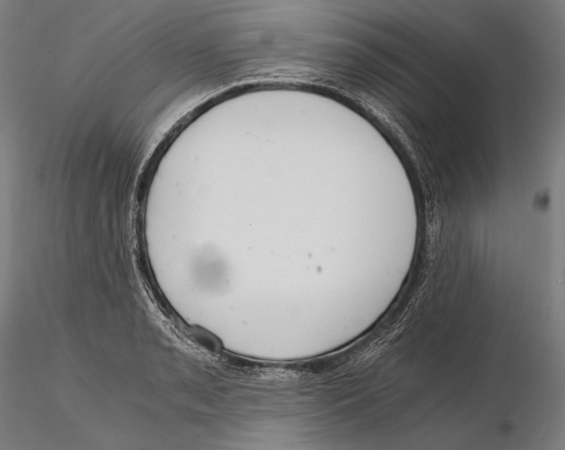 X0000115411085200912011334