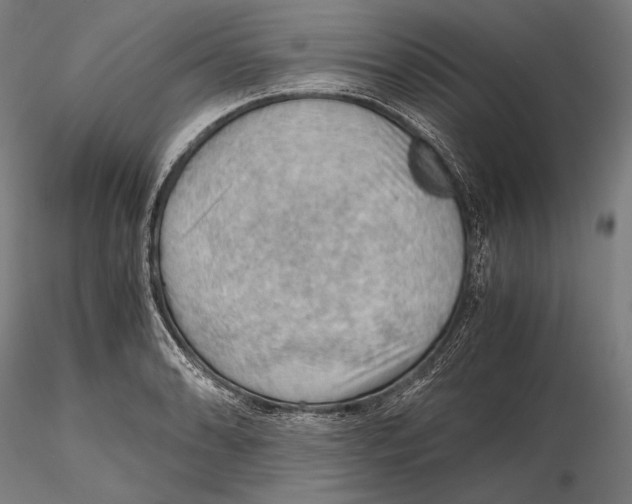 X0000115411086200912011334