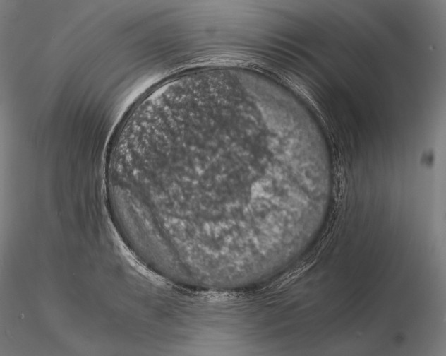 X0000115411087200912011334