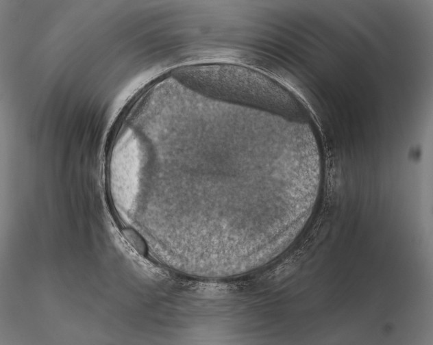 X0000115411088200912011334