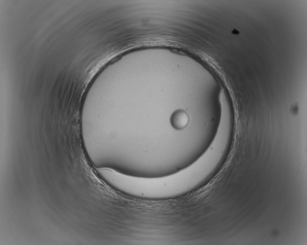 X0000115411089200912011334