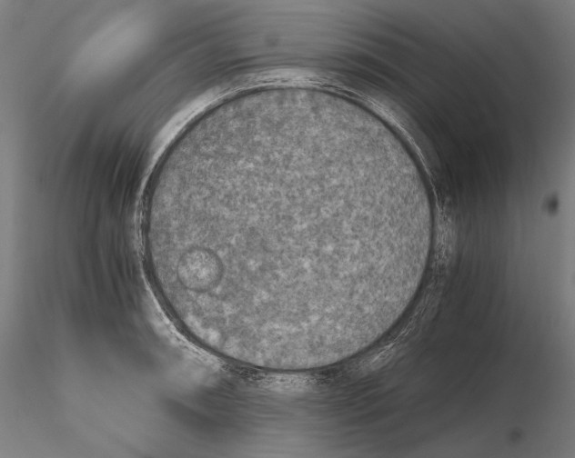 X0000115411090200912011334