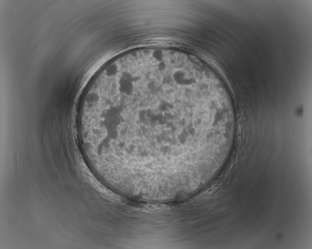 X0000115411091200912011334