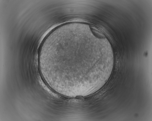 X0000115411092200912011334