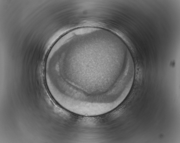 X0000115411094200912011334