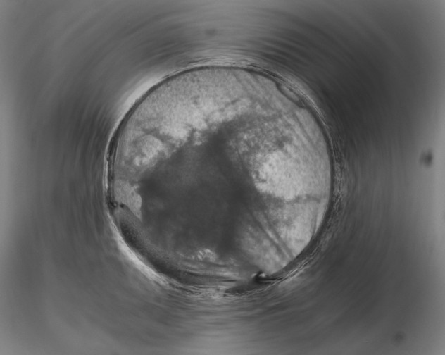 X0000115411095200912011334