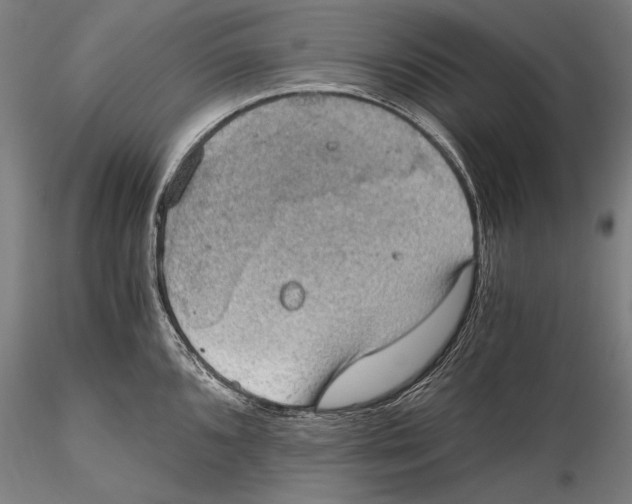 X0000115411096200912011334