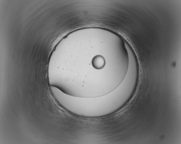 X0000115411097200912011334