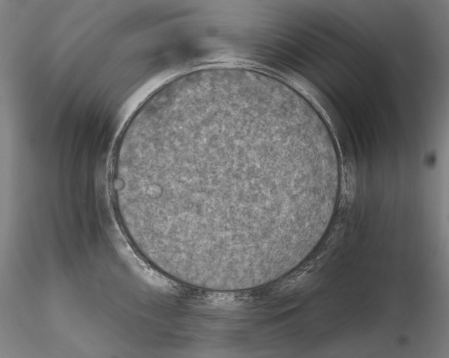 X0000115411098200912011334