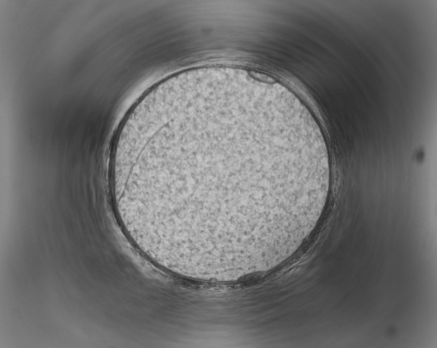 X0000115411099200912011334