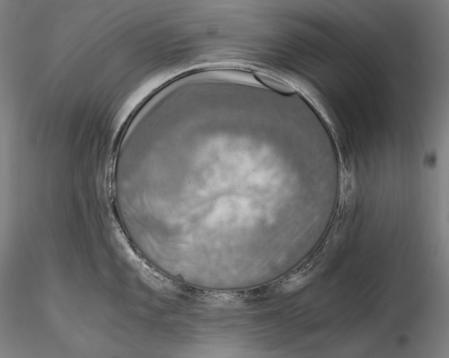 X0000115411101200912011334