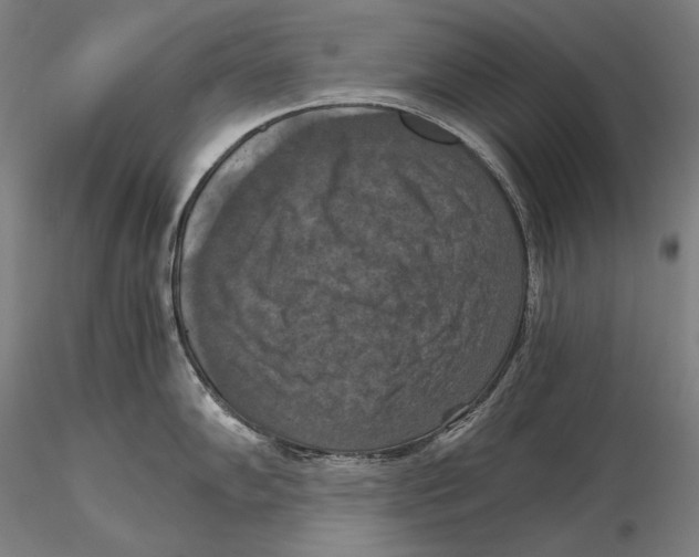 X0000115411102200912011334