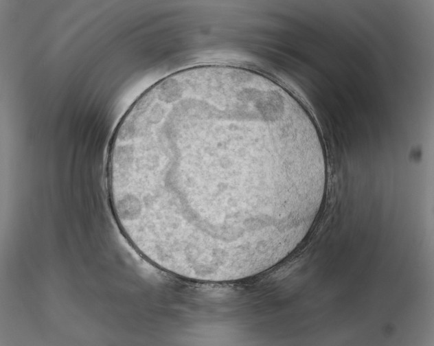 X0000115411103200912011334