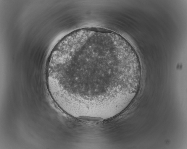 X0000115411104200912011334