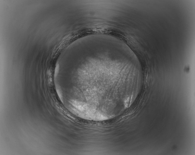 X0000115411106200912011333