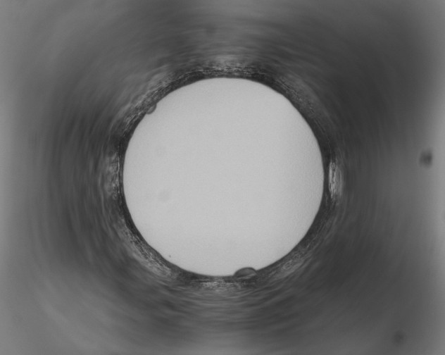 X0000115411107200912011333