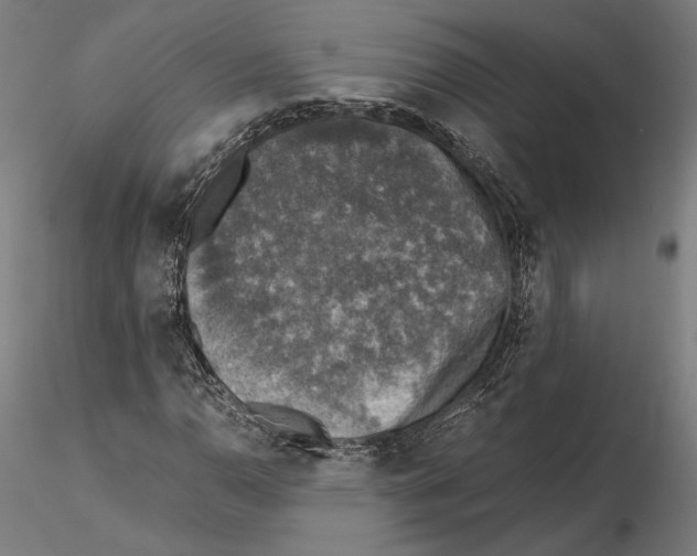 X0000115411110200912011333