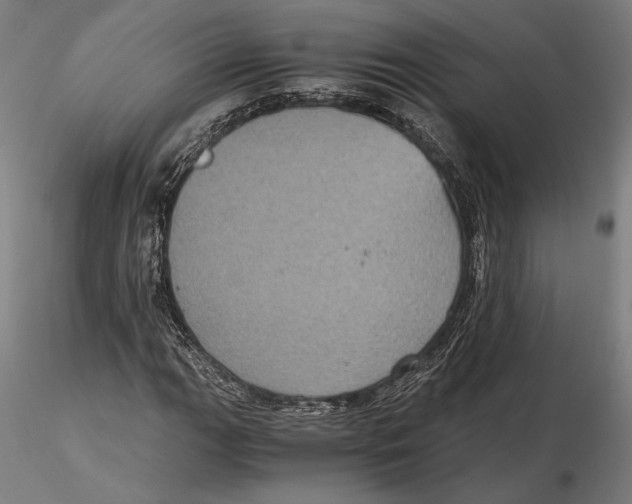 X0000115411111200912011333