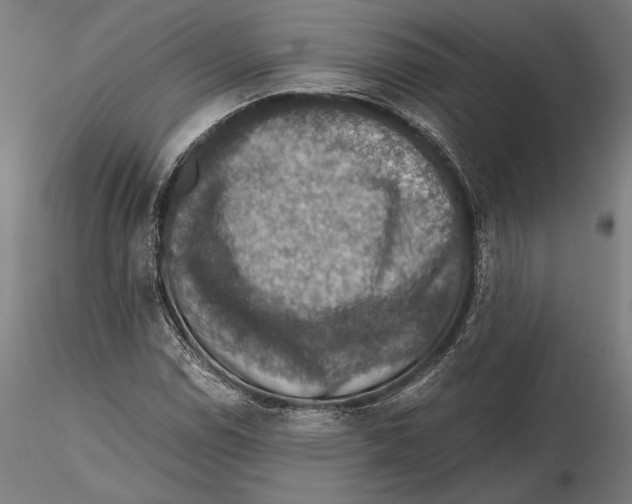 X0000115411114200912011333